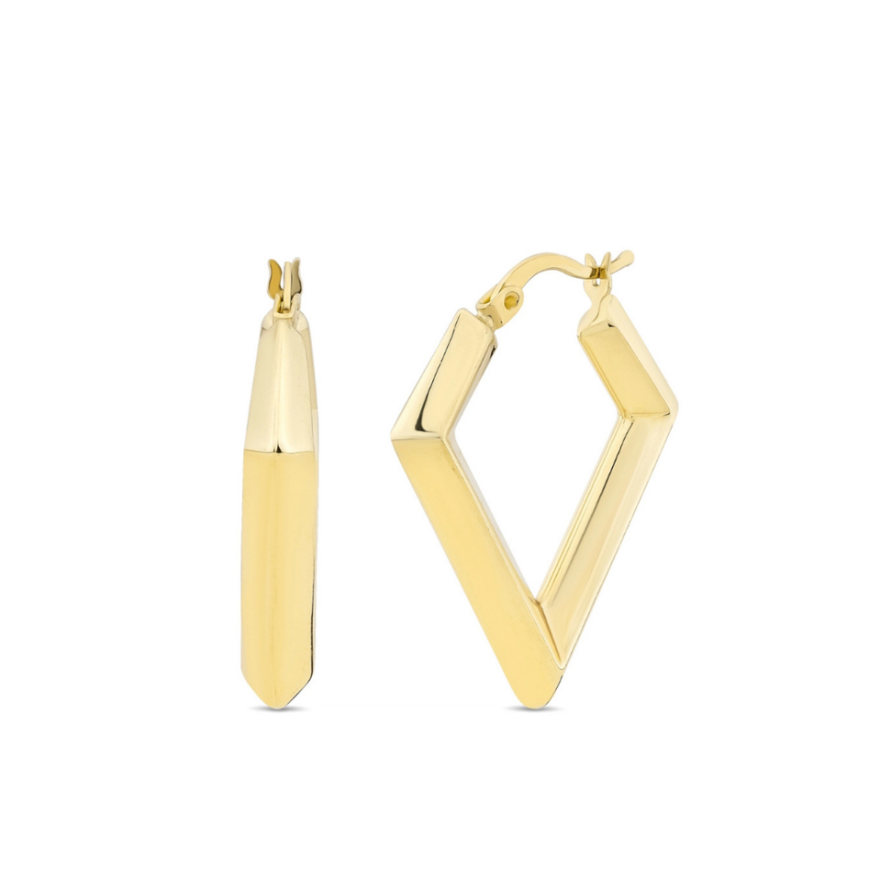 Blazing Beauty Earring - Üsküplü