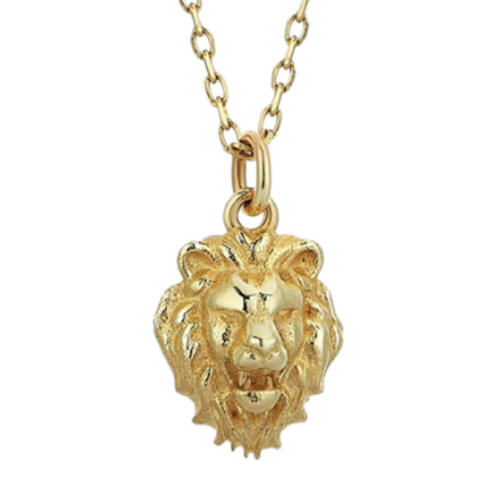 Leo Necklace - 1