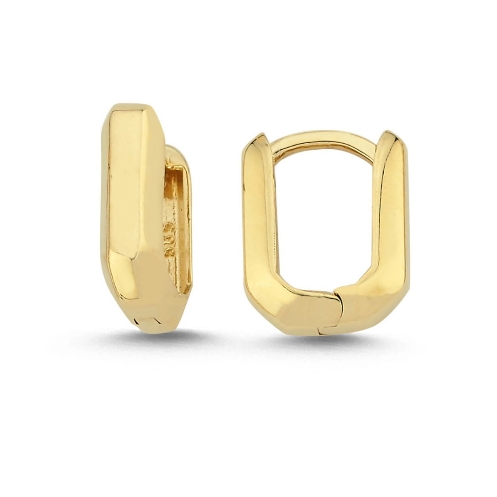 Pinpoint Radiance Earring - Üsküplü